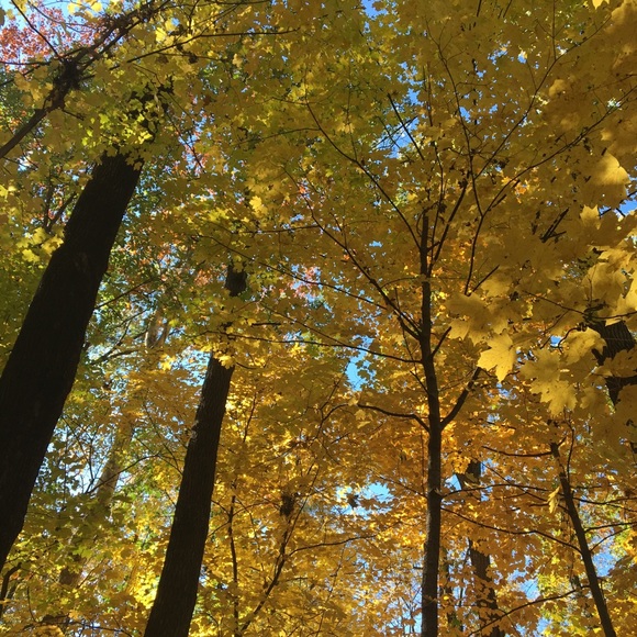 Meet your Posher, Sarah - Picture 8 of 14